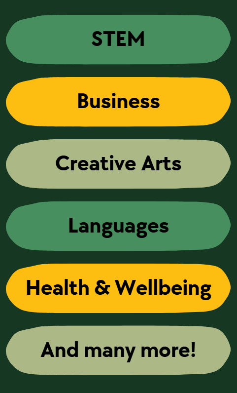 List of available courses on Poha Academy including digital skills, languages and vocational subjects